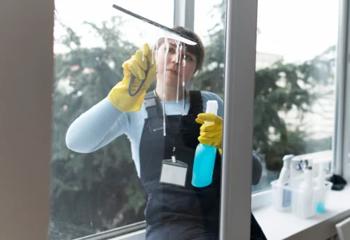 Nettoyage de vitres intérieures et extérieures à Pizay